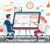 Why Small Businesses Are Turning to Project Management Apps