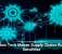 How Tech Makes Supply Chains Run Smoother
