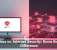 Antivirus vs. Internet Security: Know the Real Difference